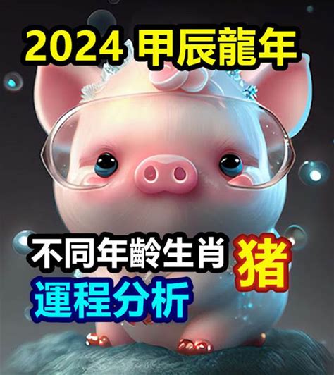 2024 生肖豬